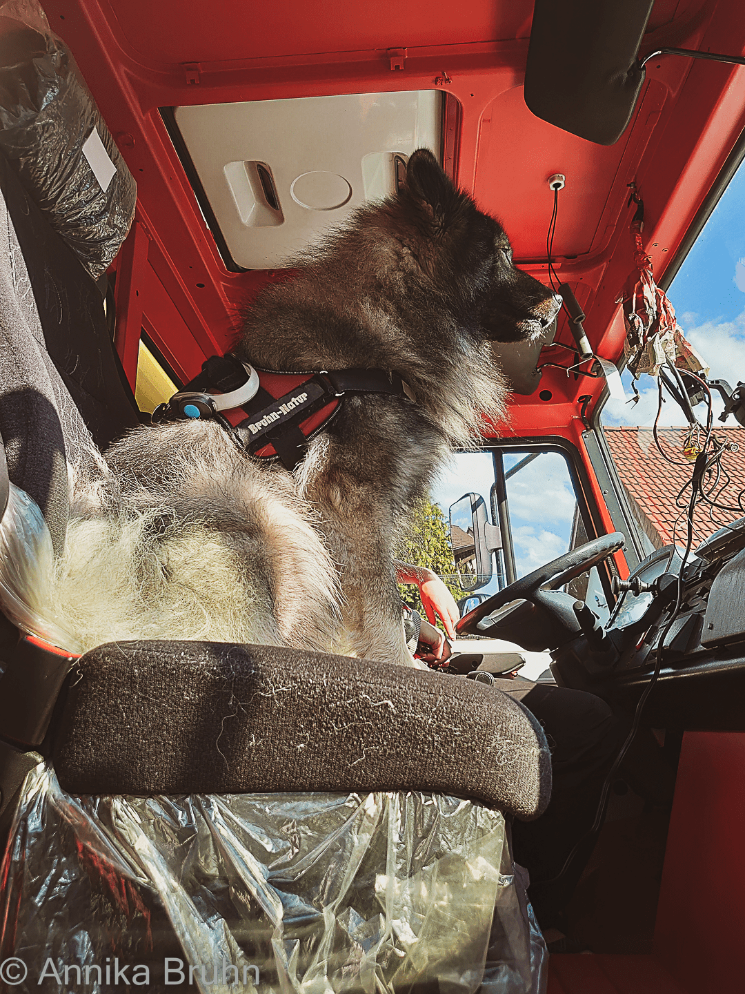 So lässt es sich doch gut mitfahren!